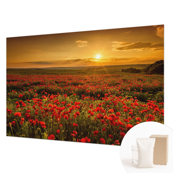 Zidna fototapeta od flisa s motivom polja maka