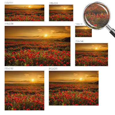 Zidna fototapeta od flisa s motivom polja maka