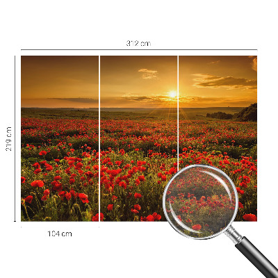 Zidna fototapeta od flisa s motivom polja maka