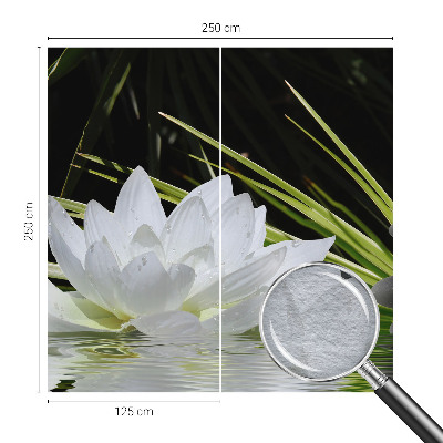 Foto tapeta za spavaću sobu Meditacija s ljiljanom