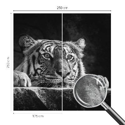 Flis fototapeta s uzorkom grabežljivog izgleda