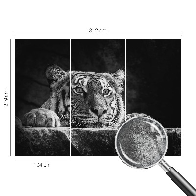 Flis fototapeta s uzorkom grabežljivog izgleda