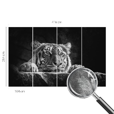 Flis fototapeta s uzorkom grabežljivog izgleda