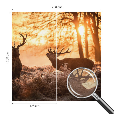 Foto tapeta za zid Jelen ujutro