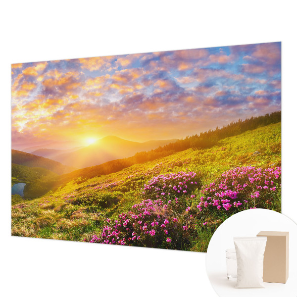 Flis fototapeta s motivom planinskog zapada