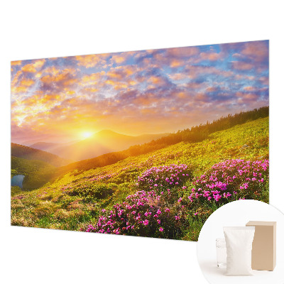 Flis fototapeta s motivom planinskog zapada