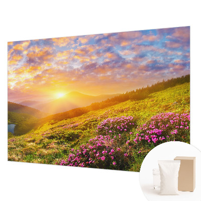 Flis fototapeta s motivom planinskog zapada