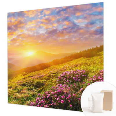 Flis fototapeta s motivom planinskog zapada