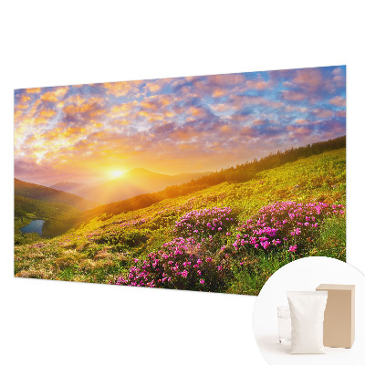 Flis fototapeta s motivom planinskog zapada