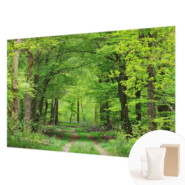 Zidna fototapeta od flisa s motivom šumske staze