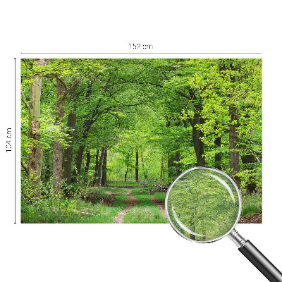 Zidna fototapeta od flisa s motivom šumske staze