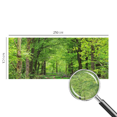 Zidna fototapeta od flisa s motivom šumske staze