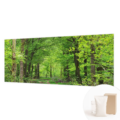 Zidna fototapeta od flisa s motivom šumske staze