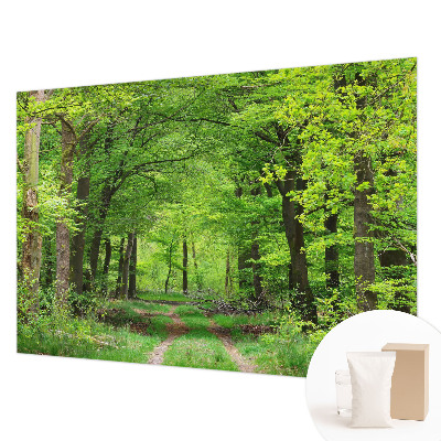 Zidna fototapeta od flisa s motivom šumske staze