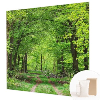 Zidna fototapeta od flisa s motivom šumske staze