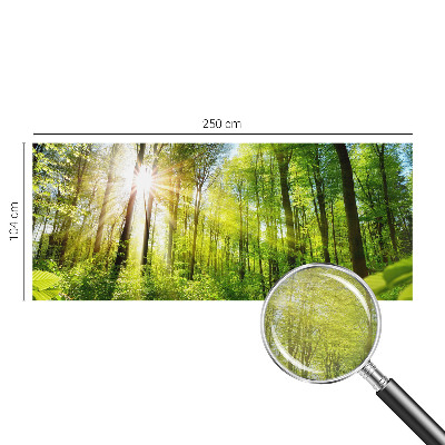 Fototapeta za zid s motivom šumskog svjetla