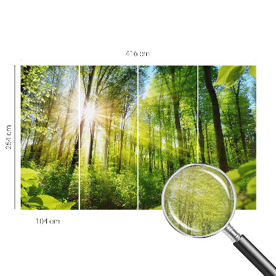 Fototapeta za zid s motivom šumskog svjetla