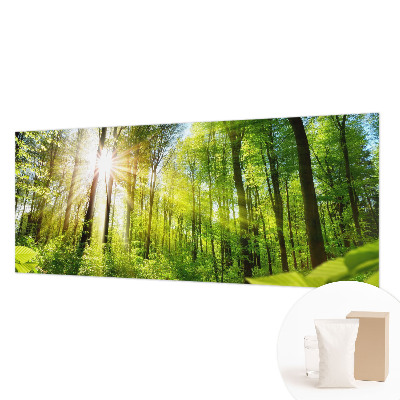 Fototapeta za zid s motivom šumskog svjetla
