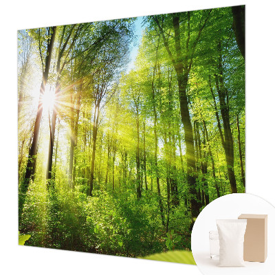 Fototapeta za zid s motivom šumskog svjetla