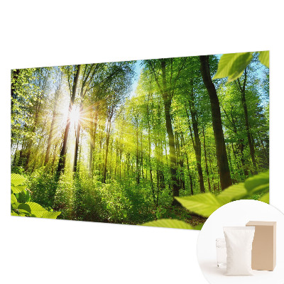 Fototapeta za zid s motivom šumskog svjetla