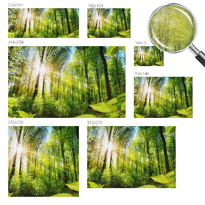 Fototapeta za zid s motivom šumskog svjetla