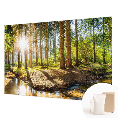 Foto tapeta po mjeri s motivom šumske idile