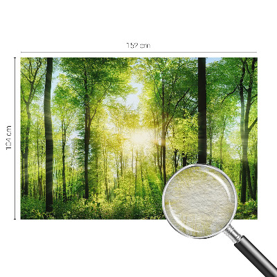 Zidna fototapeta s motivom šume u umirujućim tonovima
