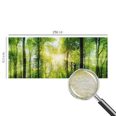 Zidna fototapeta s motivom šume u umirujućim tonovima