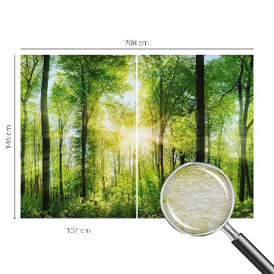 Zidna fototapeta s motivom šume u umirujućim tonovima