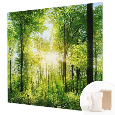 Zidna fototapeta s motivom šume u umirujućim tonovima