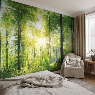 Zidna fototapeta s motivom šume u umirujućim tonovima