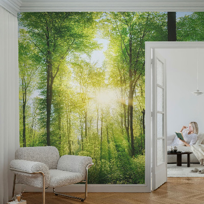 Zidna fototapeta s motivom šume u umirujućim tonovima
