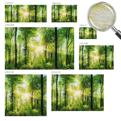 Zidna fototapeta s motivom šume u umirujućim tonovima