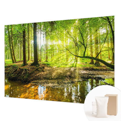 Foto tapeta za spavaću sobu sa motivom zelenog krajolika
