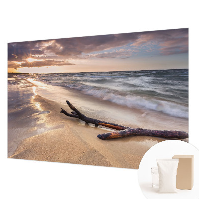 Foto tapeta za zid s motivom zapadne plaže