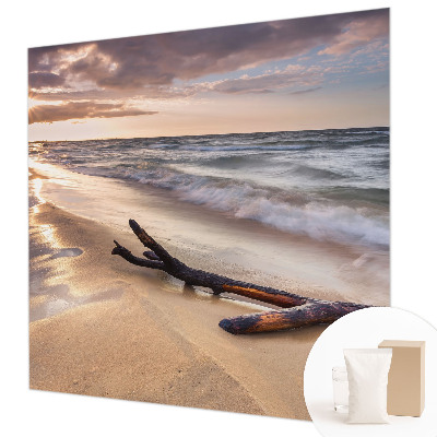 Foto tapeta za zid s motivom zapadne plaže