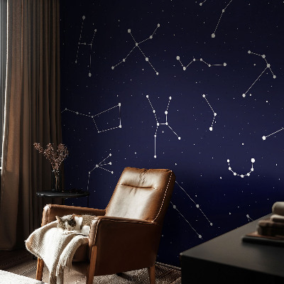 Zidna fototapeta od flisa s motivom noćnog neba s astro detaljima