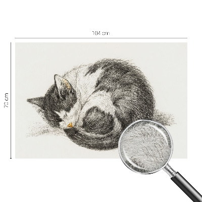 Flis fototapeta s motivom preslatke mace