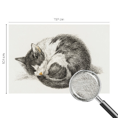 Flis fototapeta s motivom preslatke mace