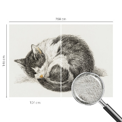 Flis fototapeta s motivom preslatke mace