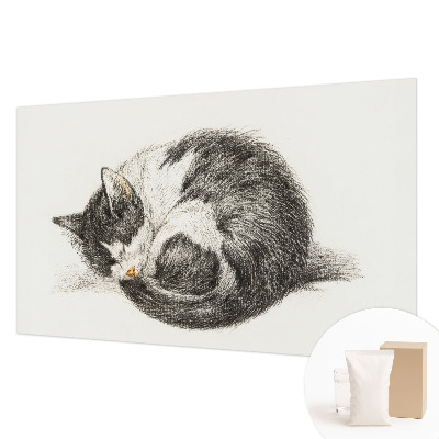 Flis fototapeta s motivom preslatke mace