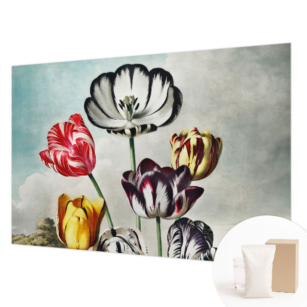 Foto tapeta za dnevni boravak s motivom šarenih tulipana