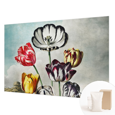 Foto tapeta za dnevni boravak s motivom šarenih tulipana