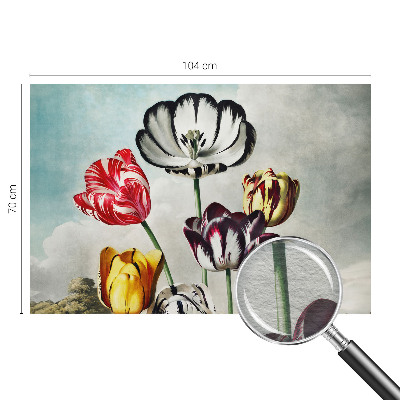 Foto tapeta za dnevni boravak s motivom šarenih tulipana
