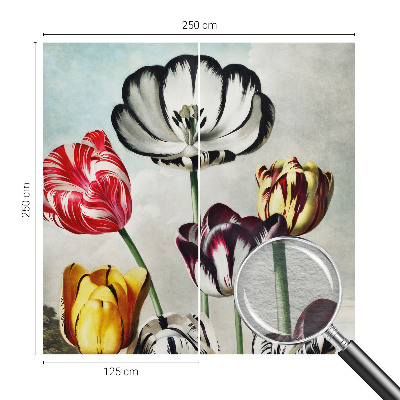 Foto tapeta za dnevni boravak s motivom šarenih tulipana
