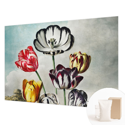 Foto tapeta za dnevni boravak s motivom šarenih tulipana