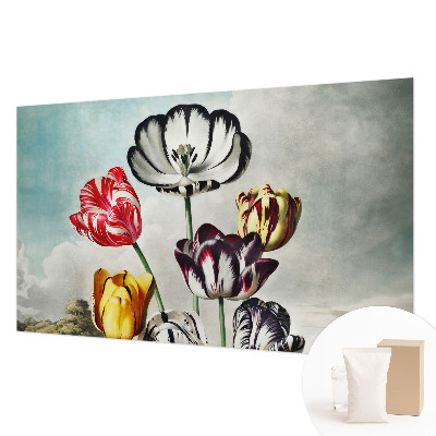 Foto tapeta za dnevni boravak s motivom šarenih tulipana