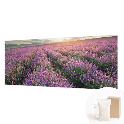 Zidna foto tapeta s motivom polja lavande