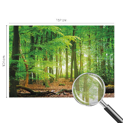 Fototapeta za dnevni boravak s motivom zelene šume