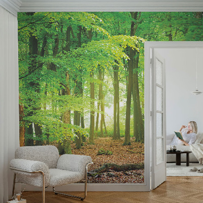Fototapeta za dnevni boravak s motivom zelene šume